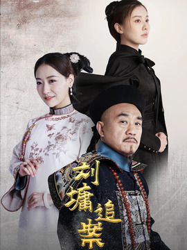 刘墉追案剧情介绍_宅剧情