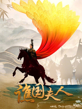 谯国夫人剧情介绍_宅剧情