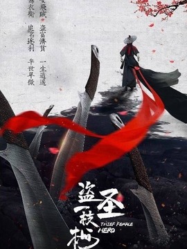 盗圣一枝梅剧情介绍_宅剧情