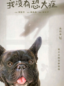 我没有恐犬症剧情介绍_宅剧情