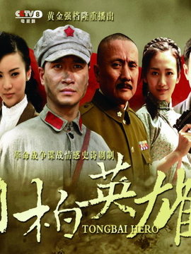 桐柏英雄剧情介绍_宅剧情