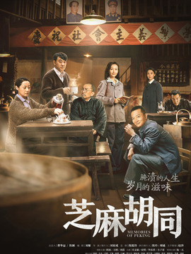 芝麻胡同剧情介绍_宅剧情