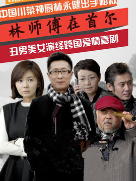 林师傅在首尔剧情介绍_宅剧情