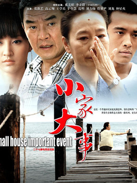 小家大事剧情介绍_宅剧情