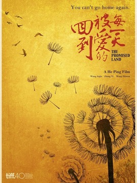 回到被爱的每一天剧情介绍_宅剧情