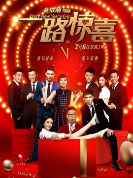 一路惊喜剧情介绍_宅剧情