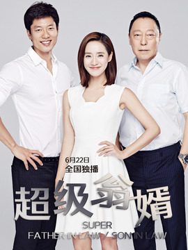 超级翁婿剧情介绍_宅剧情