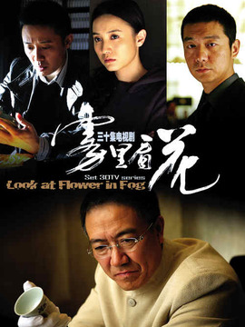 雾里看花剧情介绍_宅剧情