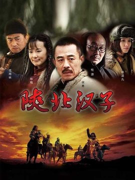 陕北汉子剧情介绍_宅剧情