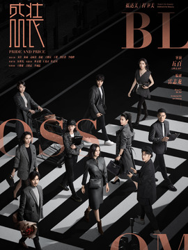 盛装剧情介绍_宅剧情