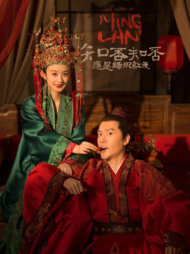 知否知否应是绿肥红瘦剧情介绍_宅剧情