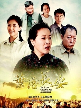 叶落长安剧情介绍_宅剧情