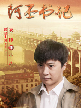 阿丕书记剧情介绍_宅剧情