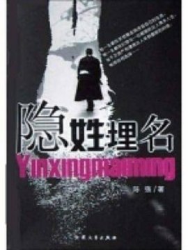 隐姓埋名剧情介绍_宅剧情