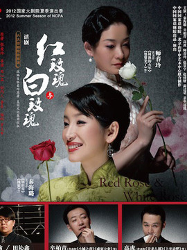 红玫瑰与白玫瑰剧情介绍_宅剧情