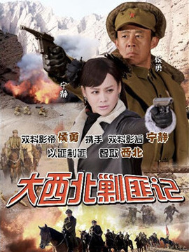 大西北剿匪记剧情介绍_宅剧情