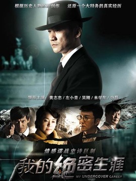 我的绝密生涯剧情介绍_宅剧情