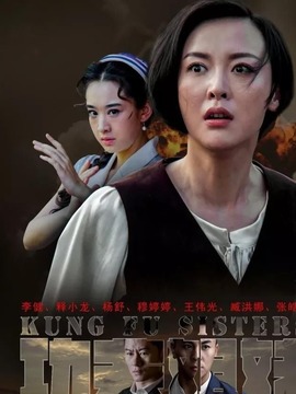 功夫姐妹剧情介绍_宅剧情