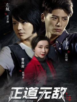 正道无敌剧情介绍_宅剧情