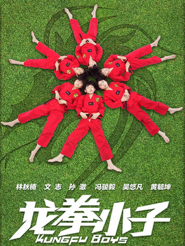 龙拳小子剧情介绍_宅剧情