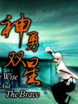 神勇双星剧情介绍_宅剧情