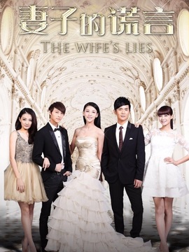 妻子的谎言剧情介绍_宅剧情