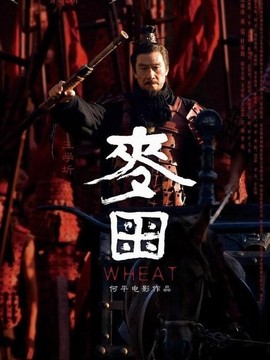 长平大战之麦田剧情介绍_宅剧情