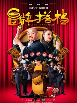 冒牌搭档剧情介绍_宅剧情