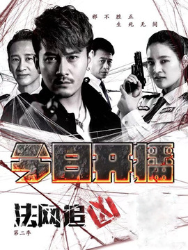 法网追凶第二季剧情介绍_宅剧情