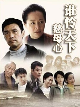 谁怜天下慈母心剧情介绍_宅剧情