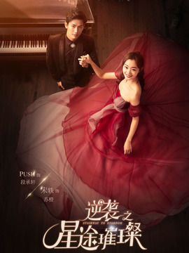 逆袭之星途璀璨剧情介绍_宅剧情