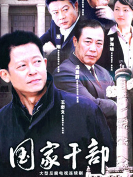 国家干部剧情介绍_宅剧情