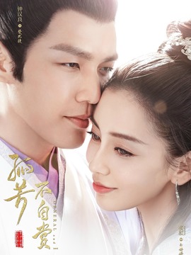 孤芳不自赏剧情介绍_宅剧情