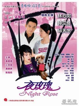 夜玫瑰剧情介绍_宅剧情