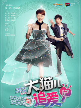 大猫儿追爱记剧情介绍_宅剧情
