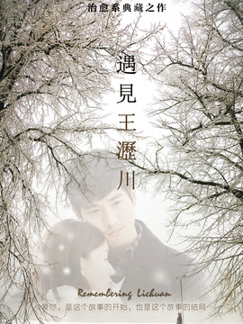 遇见王沥川剧情介绍_宅剧情