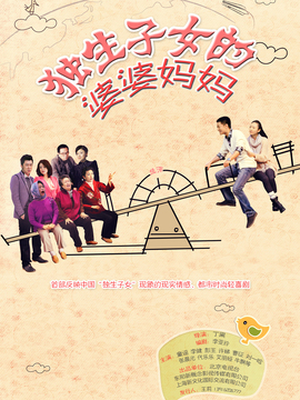 独生子女的婆婆妈妈剧情介绍_宅剧情