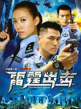 要案组雷霆出击剧情介绍_宅剧情