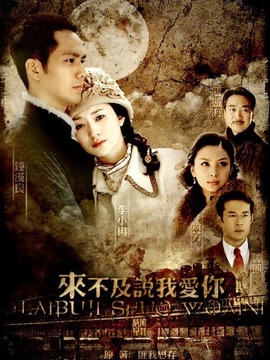 来不及说我爱你剧情介绍_宅剧情