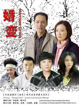 婚变剧情介绍_宅剧情