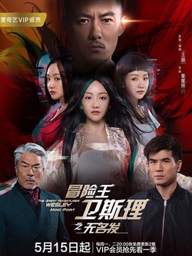 冒险王卫斯理之无名发剧情介绍_宅剧情