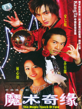 魔术奇缘剧情介绍_宅剧情