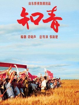 知青剧情介绍_宅剧情