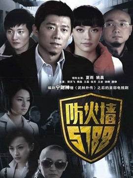 防火墙5788剧情介绍_宅剧情
