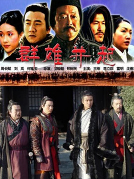 大汉风之群雄并起剧情介绍_宅剧情