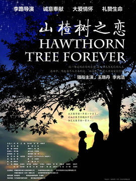 山楂树之恋剧情介绍_宅剧情