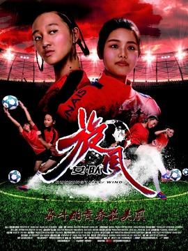 旋风女队剧情介绍_宅剧情