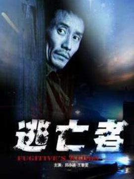 逃亡者剧情介绍_宅剧情