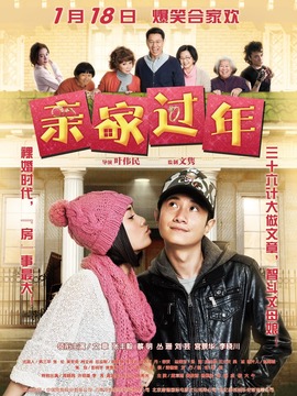 亲家过年剧情介绍_宅剧情