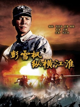 彭雪枫纵横江淮剧情介绍_宅剧情